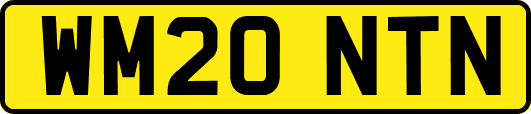 WM20NTN