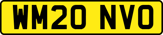 WM20NVO