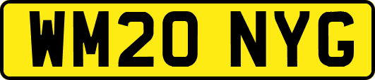 WM20NYG