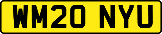 WM20NYU