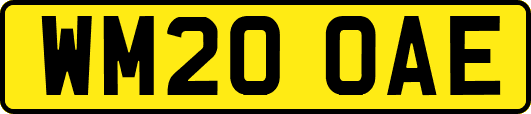 WM20OAE