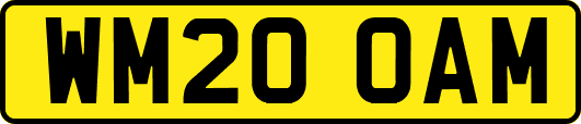 WM20OAM