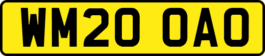 WM20OAO