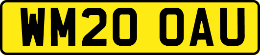 WM20OAU