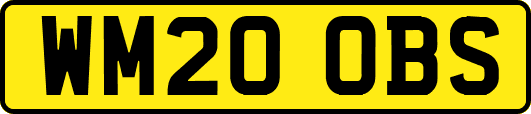 WM20OBS