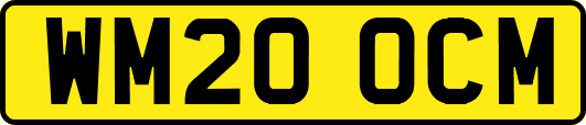 WM20OCM