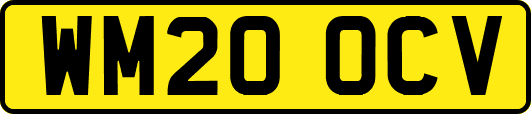 WM20OCV