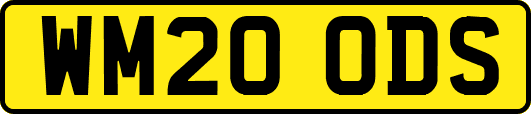 WM20ODS
