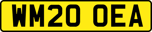WM20OEA