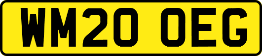 WM20OEG