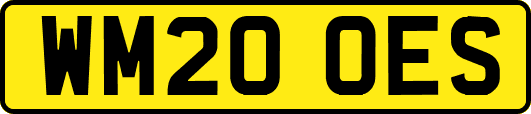 WM20OES
