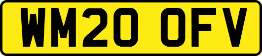 WM20OFV