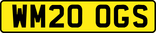 WM20OGS