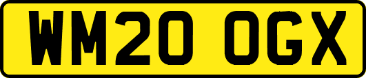 WM20OGX
