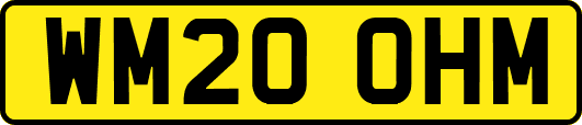 WM20OHM