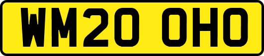 WM20OHO