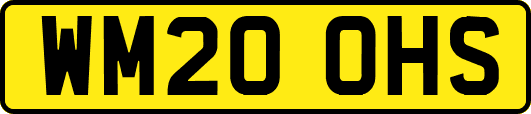 WM20OHS