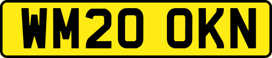 WM20OKN