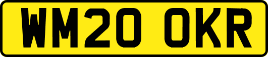 WM20OKR