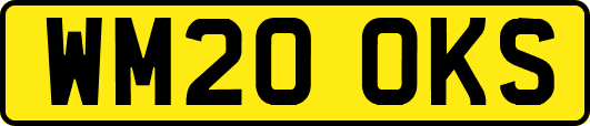 WM20OKS