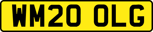 WM20OLG