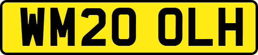 WM20OLH
