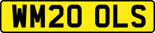 WM20OLS
