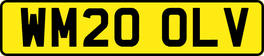 WM20OLV