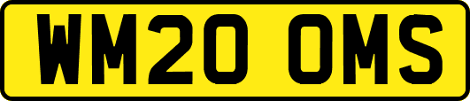WM20OMS