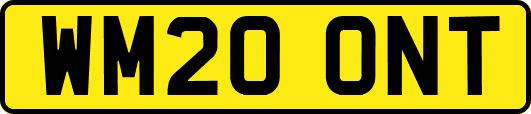 WM20ONT