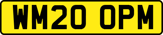 WM20OPM