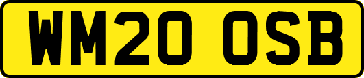 WM20OSB