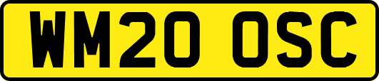 WM20OSC