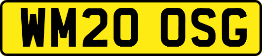 WM20OSG