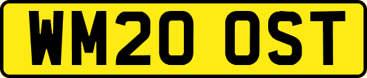 WM20OST