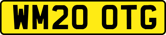 WM20OTG