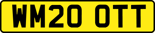 WM20OTT