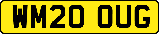 WM20OUG