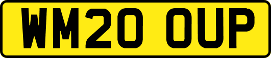 WM20OUP