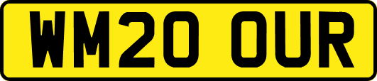 WM20OUR