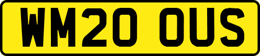 WM20OUS