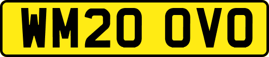 WM20OVO