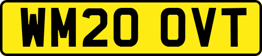 WM20OVT