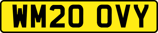 WM20OVY