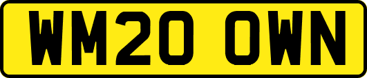 WM20OWN