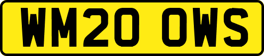 WM20OWS