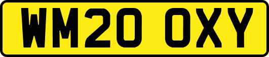 WM20OXY