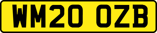 WM20OZB