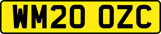 WM20OZC