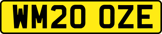WM20OZE